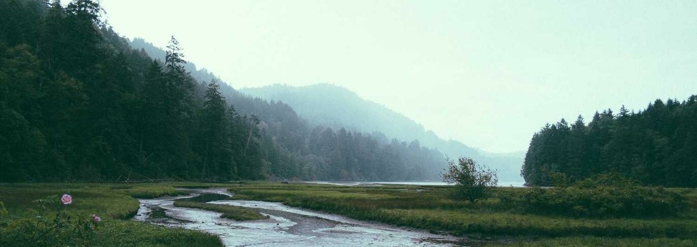 A green grassy field with a body of water at its centre and a dark forest and hills in the background