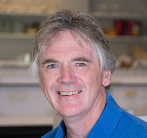 Professional headshot photo of Prof Martin Warren